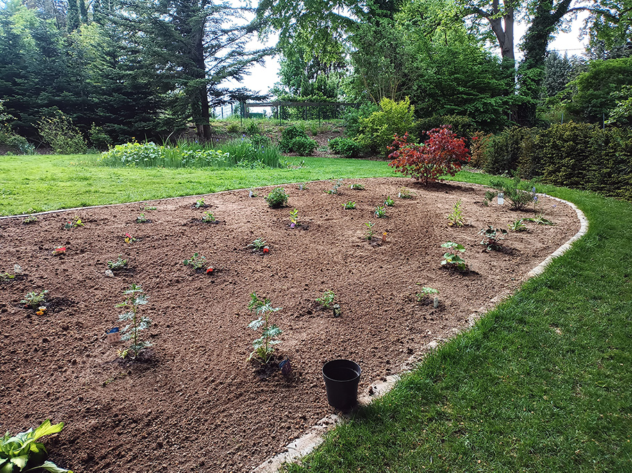 Startseite_Bild_Mitte-Oben_Gartenbau-Springe