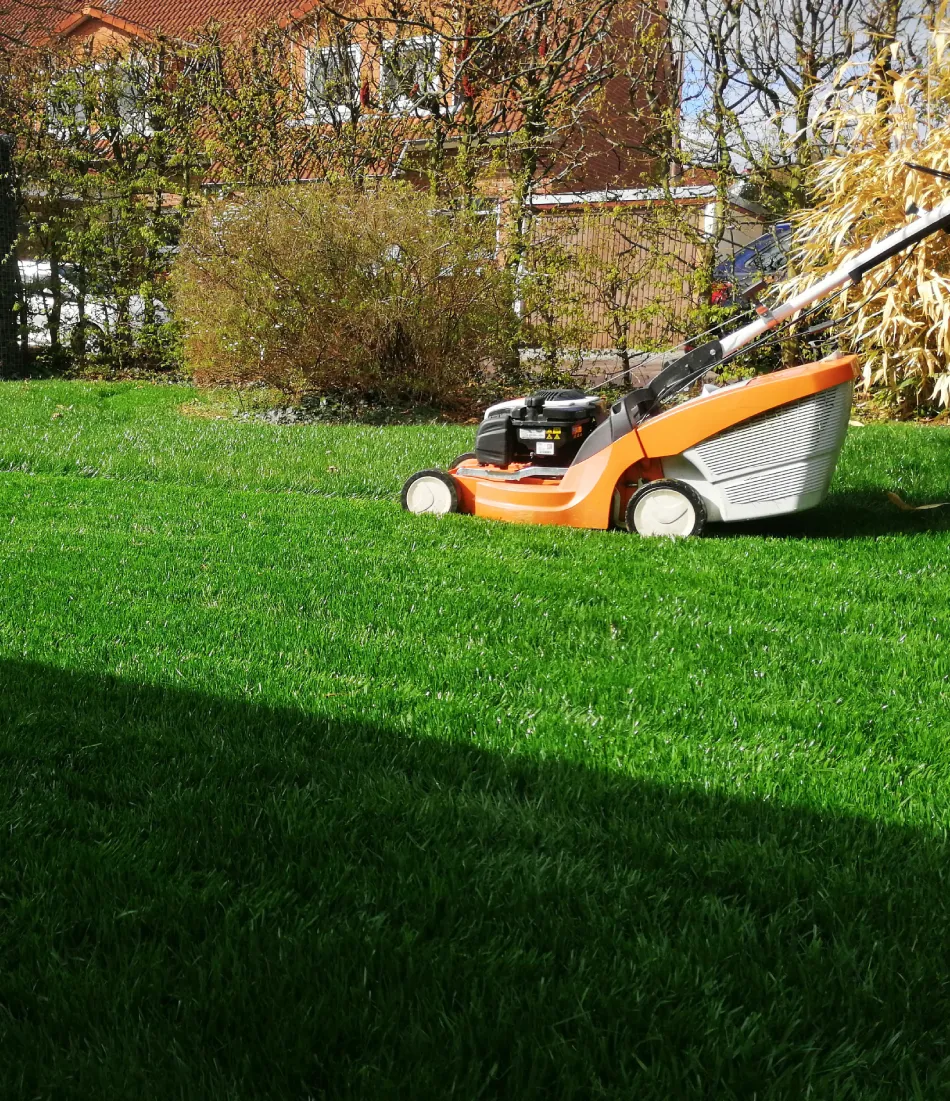 gartenpflege