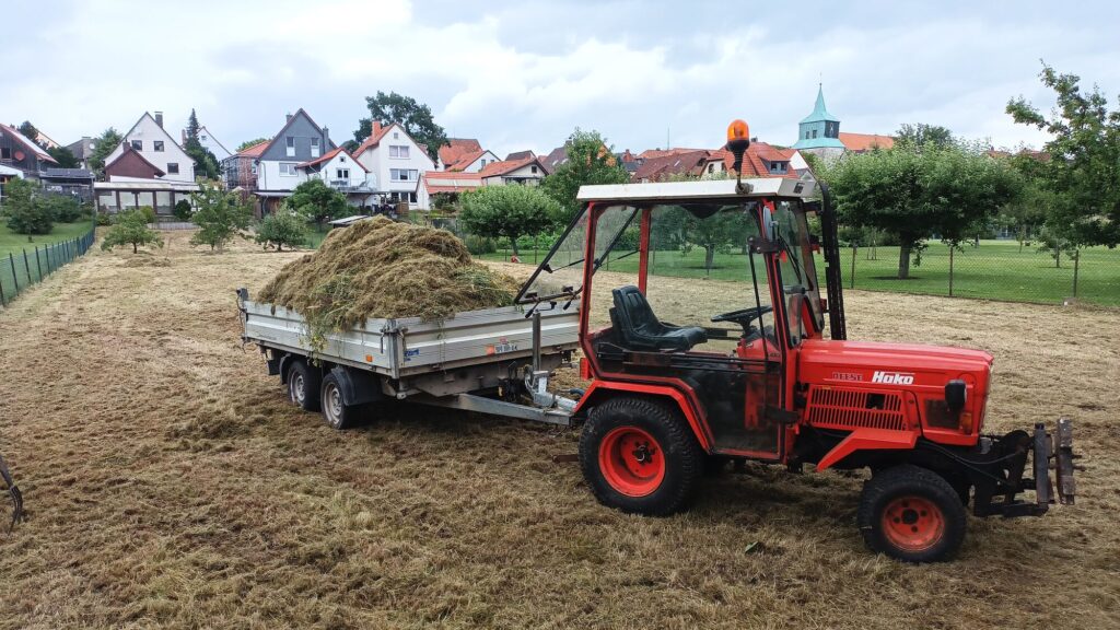 Gepflegte Rasenfläche vom GaLaBau Menninger